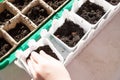 Seeds of plants and flowers in a plastic box container for seedlings with child's hand. Seeds prepared for planting in Royalty Free Stock Photo