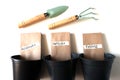 Seeds and pot prepared for planting herbals in home garden balcony