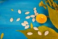 Seeds of pumpkin and candle on the blue wooden background. Royalty Free Stock Photo