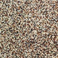 Seeds of quinoa Royalty Free Stock Photo