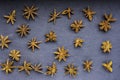 Seeds scattered star anise top view on slate