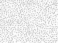 Seeds seamless pattern. Watermelon seeds on a white background. Vector