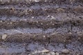 Seeds in seedbed, planting seeds in garden, chernozem or black soil, springtime farm works, ground close-up