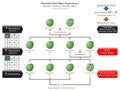 Seeds Shape Genetic Trait Pea Plant Mendel Experiment Infographic Diagram