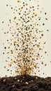 Seeds and soil: dynamic burst of life and growth
