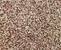 Seeds of uncooked quinoa Royalty Free Stock Photo