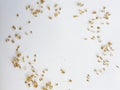 Seeds on a white background. Royalty Free Stock Photo