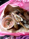 Seefood shell take out malaysia Royalty Free Stock Photo
