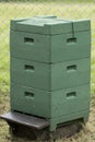 Seegeberger beute, beehive with 3 frames