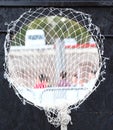 Seeing through net