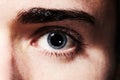 Seeing something he likes. Closeup portrait of an eye with dilated pupil. Royalty Free Stock Photo
