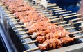 Seekh kabab Royalty Free Stock Photo