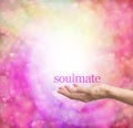 Seeking a soulmate Royalty Free Stock Photo