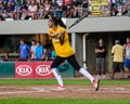 Seema Sadekar at bat.