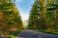 Seemingly endless asphalt road during sunset. row of trees along the country road in the countryside Royalty Free Stock Photo