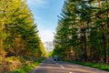 Seemingly endless asphalt road during sunset. row of trees along the country road in the countryside Royalty Free Stock Photo