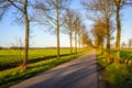 Seemingly endless country road in the Netherlands Royalty Free Stock Photo