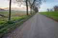 Seemingly endless country road during sunset Royalty Free Stock Photo