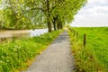 Seemingly endless path next to a row of trees