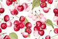 Seemless pattern background of cherry