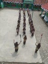 Seen from above, junior high school children practicing marching band for the independence celebration event, 17 August 1945