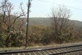 Seen of another trian track while train going through jungle Royalty Free Stock Photo