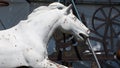 Detail of an Antique Cast Iron Horse in Profile White Peeling Paint