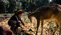 A deer that looks friendly to a small child who approaches him