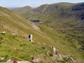 Looking down hillside to Hayeswater, Lake District Royalty Free Stock Photo