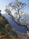 Seetharkundu Viewpoint Nelliampathy,Palakkad,Kerala