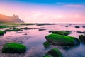 Seeweed and Hindu temple at a beach in Bali, Indonesia Royalty Free Stock Photo