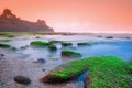 Seeweed and Hindu temple at a beach in Bali, Indonesia