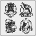 Sef of volleyball badges, labels and design elements. Sport club emblems with grizzly bear, panther, coyote and eagle. Royalty Free Stock Photo