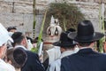 Sefer Torah in a magnificent case