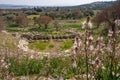 Wildflowers behind ancient historical Teos theater with steps in on the slopes of Acropolis and forest and sea from Roman site Royalty Free Stock Photo