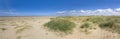 Sefton Green Beach new dunes Royalty Free Stock Photo