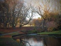 Sefton park - beautiful autumn, leaves fall from trees