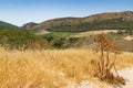 SEGESTA LANDSCAPE