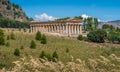 The Temple of Venus in Segesta, ancient greek town in Sicily, southern Italy. Royalty Free Stock Photo