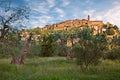 Seggiano, Grosseto, Tuscany, Italy: landscape of the the ancient hill town and the olive trees orchard Royalty Free Stock Photo