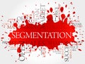 Segmentation word cloud