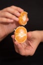 Segmenting a Fresh Ripe Mandarin. Hands delicately separating a segment from a mandarin