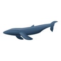 Sei whale icon, cartoon style