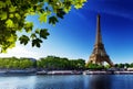 Seine in Paris with Eiffel tower Royalty Free Stock Photo