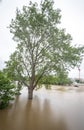 Seine river overflows in Paris