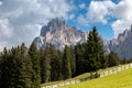 On Seiser Alm, Alpe di Siusi, with a view of Langkofel mountain