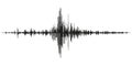 Seismogram of different seismic activity record vector illustration, earthquake wave on paper fixing, stereo audio wave diagram ba Royalty Free Stock Photo