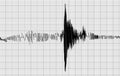 Seismogram of seismic activity or lie detector black record on grey chart paper