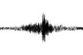 SeismogramSeismic, earthquake activity record. Vector illustration.