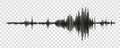 Seismograph measurement or lie detector graph. Seismic measurements with data record. Vector illustration